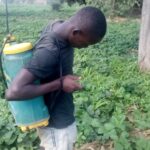 buthelezi beneficiaries 01 05 2025 (2)