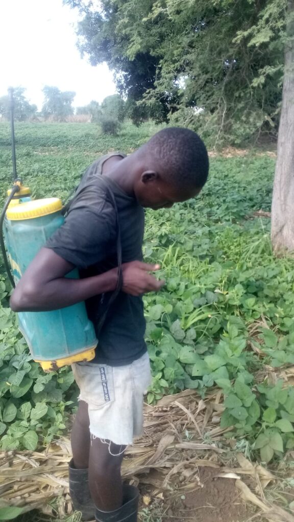 buthelezi beneficiaries 01 05 2025 (2)