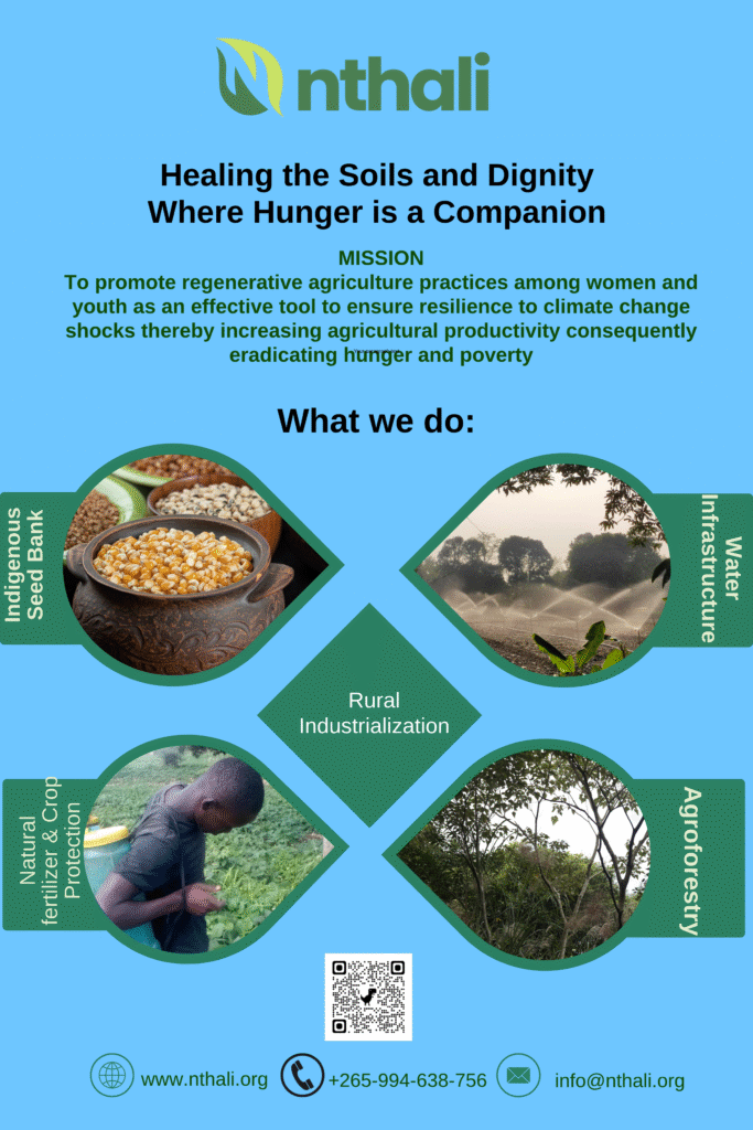 the banner for nthali describing the model of the project from indigenous seed bank to cold presser in a flow chart. It has a logo and all those 5 elements of the project.
