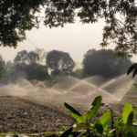 screenshot 2025 10 20 195305