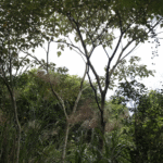 screenshot 2025 10 20 195443