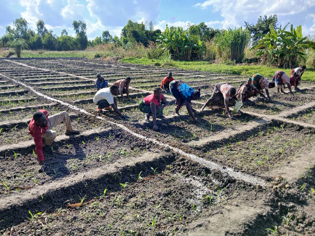 whatsapp image 2025 06 17 at 14.47.22 1db8aa19